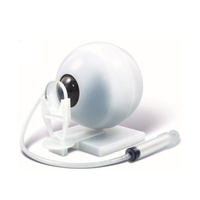 Набор Экспериментариум Модель глаза 1 Toy Т21878